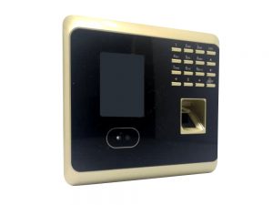 MA 10B-Time Attendance